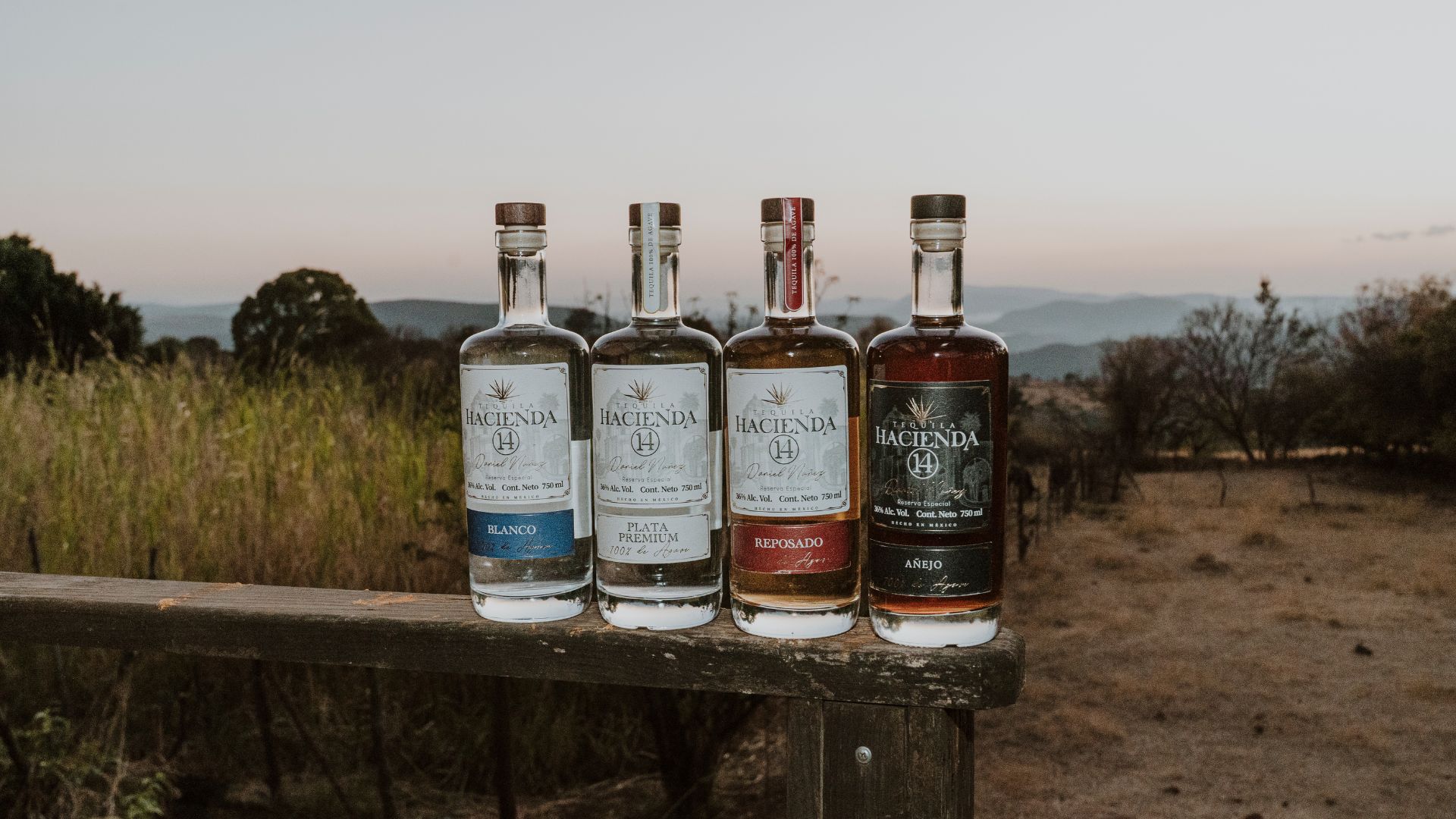 Nuestros tequilas